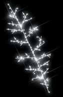 Branche de Noêl