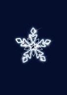 Flocon étoilé Print