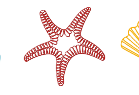 Suspension Mer