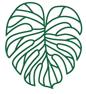 Suspensions Feuilles