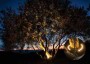 Projecteurs d'arbre