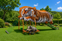 Tigre