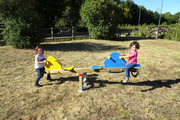 Balançoire bourriquets