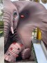 Eléphant