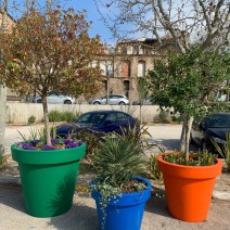 Jardinières