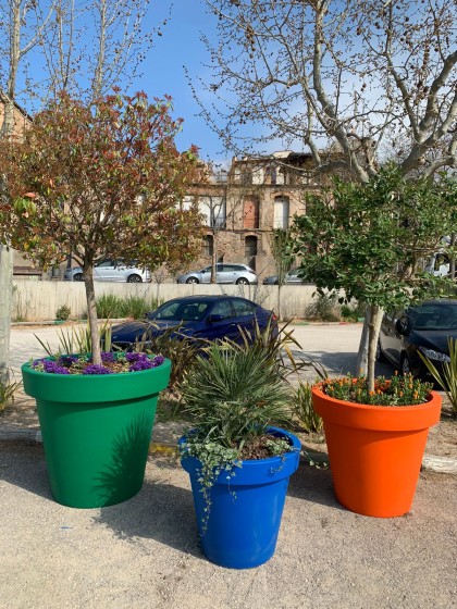 Pot city