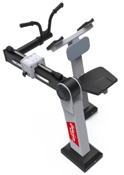 Sport Biceps