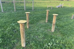 Champignons de saut