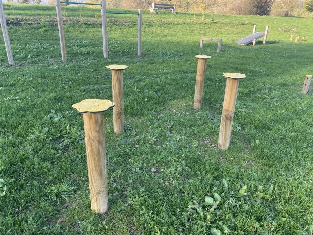Champignons de saut