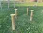 Champignons de saut