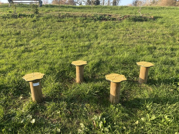 Champignons