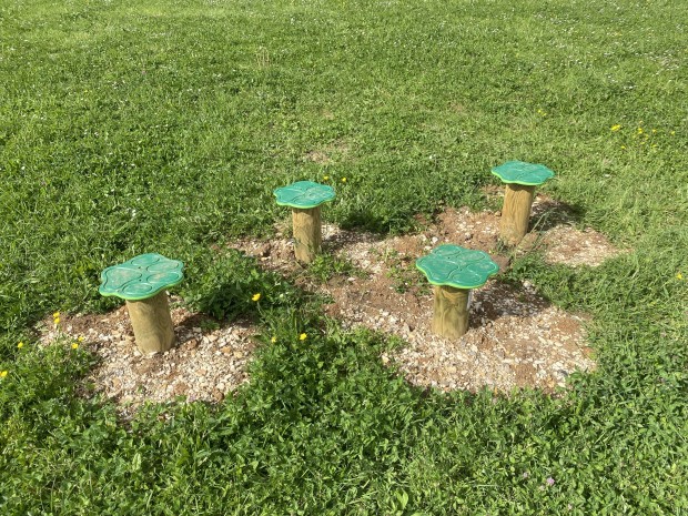 Champignons
